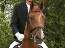 252781_10150929546173585_1948820873_n_web